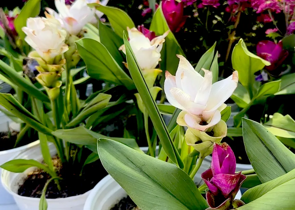 Ảnh màn hình 2026-02-03 lúc 13.32.53.png