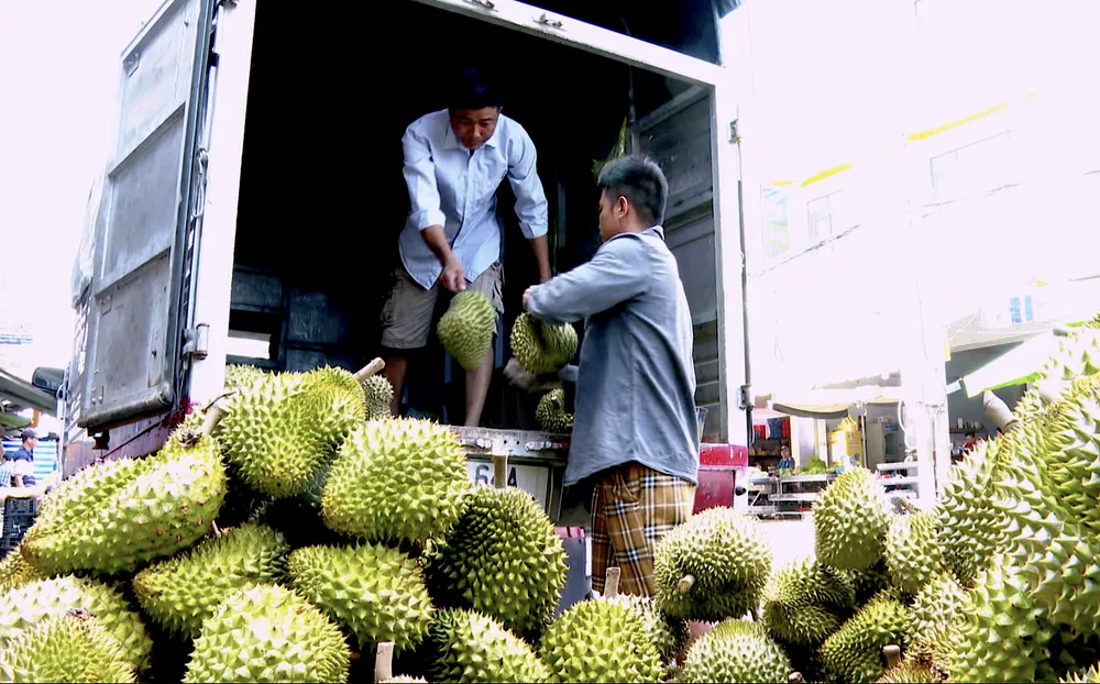 SAU RIENG 202613.png