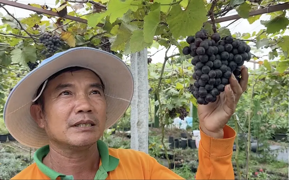 Ảnh màn hình 2026-04-24 lúc 22.02.55.png