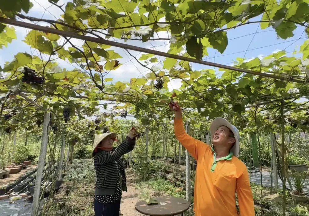 Ảnh màn hình 2026-04-24 lúc 22.29.25.png