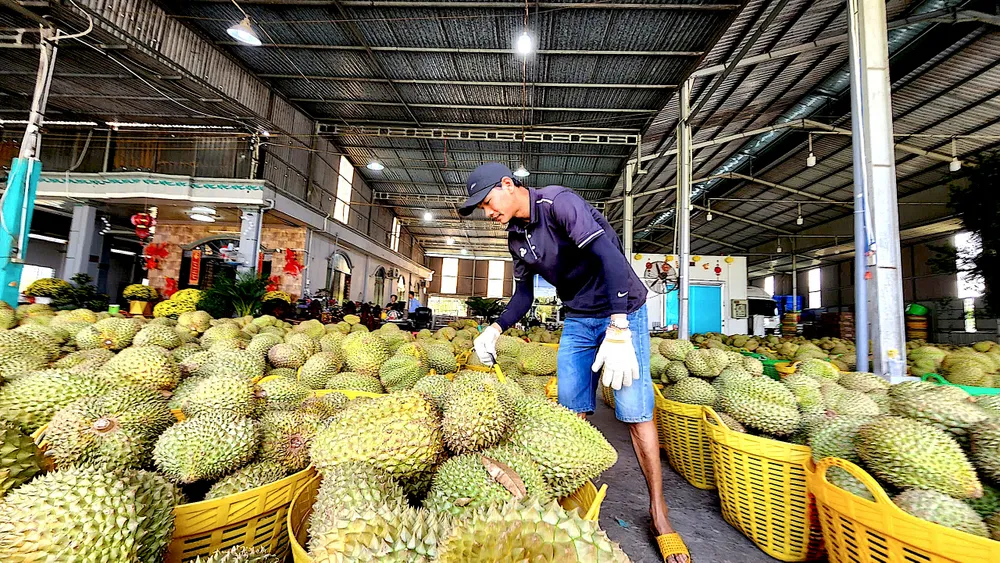 SAU RIENG2.jpg