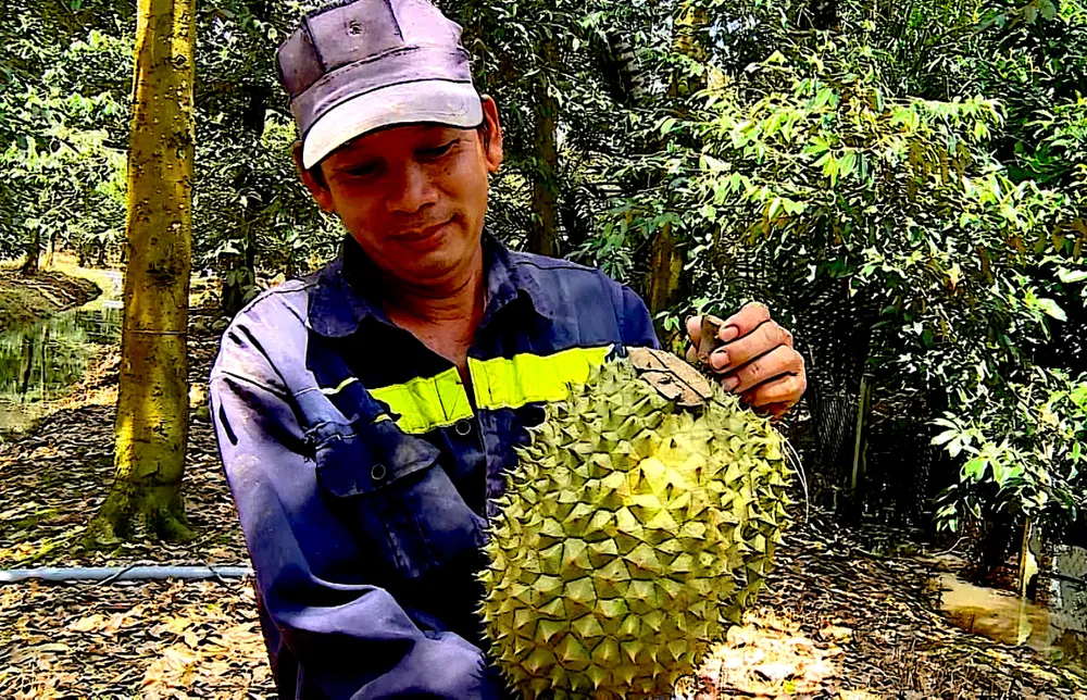 SAU RIENG 20268.jpg