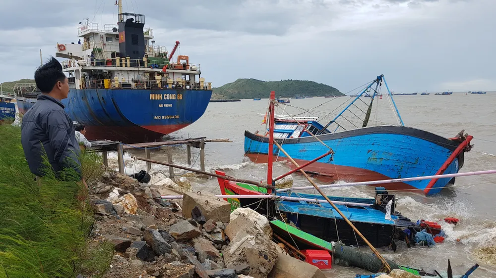 Quảng Bình: Hàng chục tàu chìm trong vịnh Hòn La ảnh 2