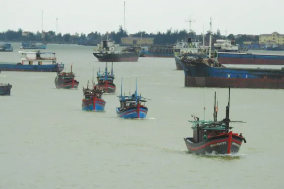 Hàng trăm tàu thuyền rời Vịnh Hòn La để trú bão số 4  ảnh 1