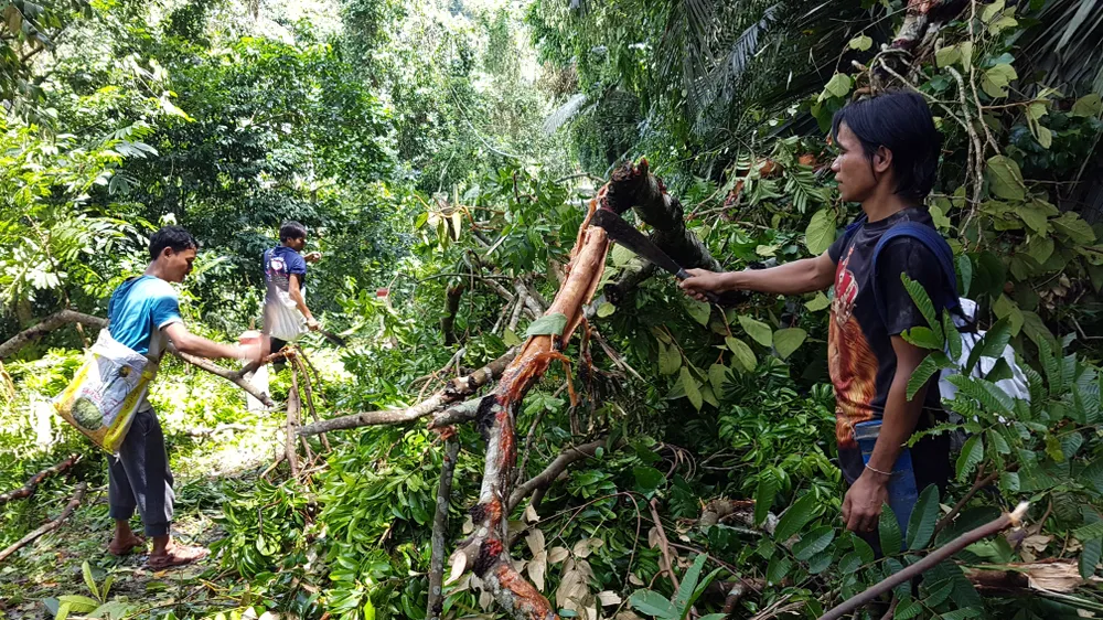 Tan tác đường lên A Rem ảnh 11