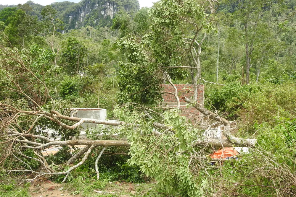 Tan tác đường lên A Rem ảnh 6