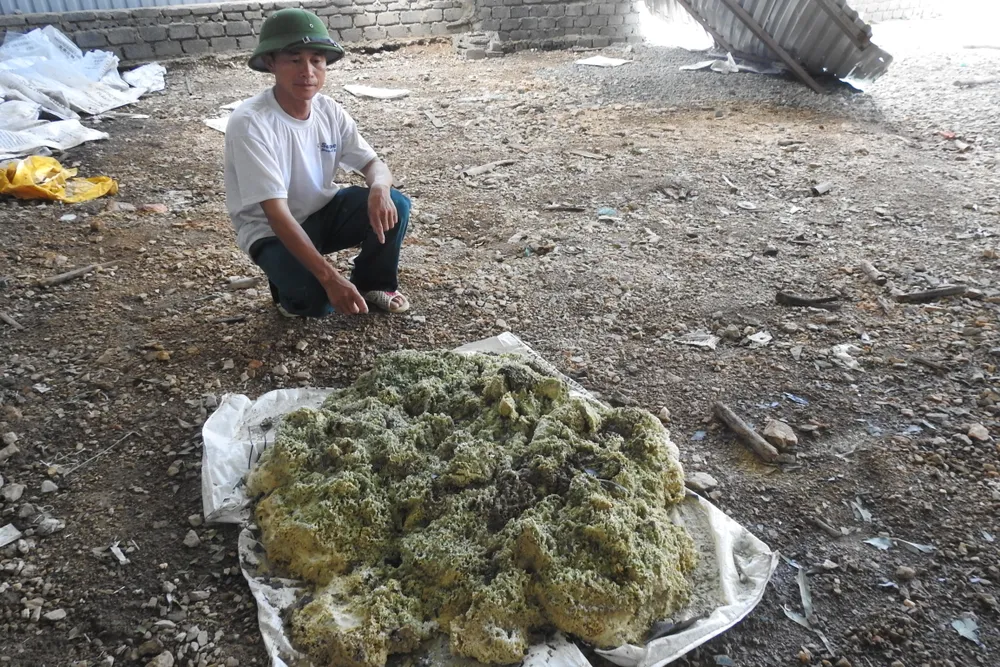 Bão số 10 quật lộ kho hóa chất độc hại gần khu dân cư ở Quảng Bình? ảnh 5