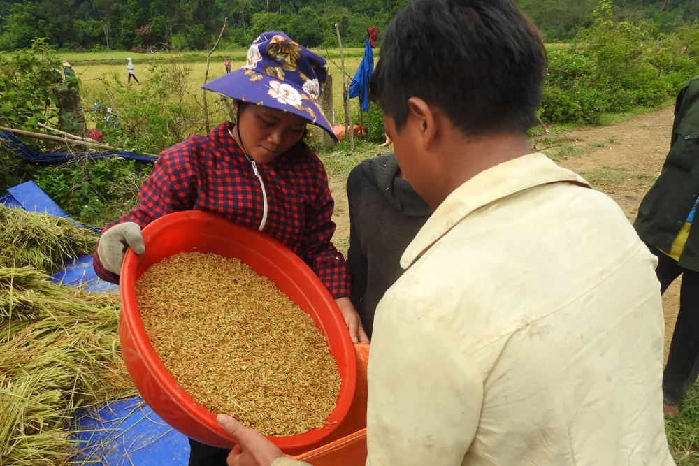 Đồng bào Rục bị lũ vây 8 ngày sau bão ảnh 4