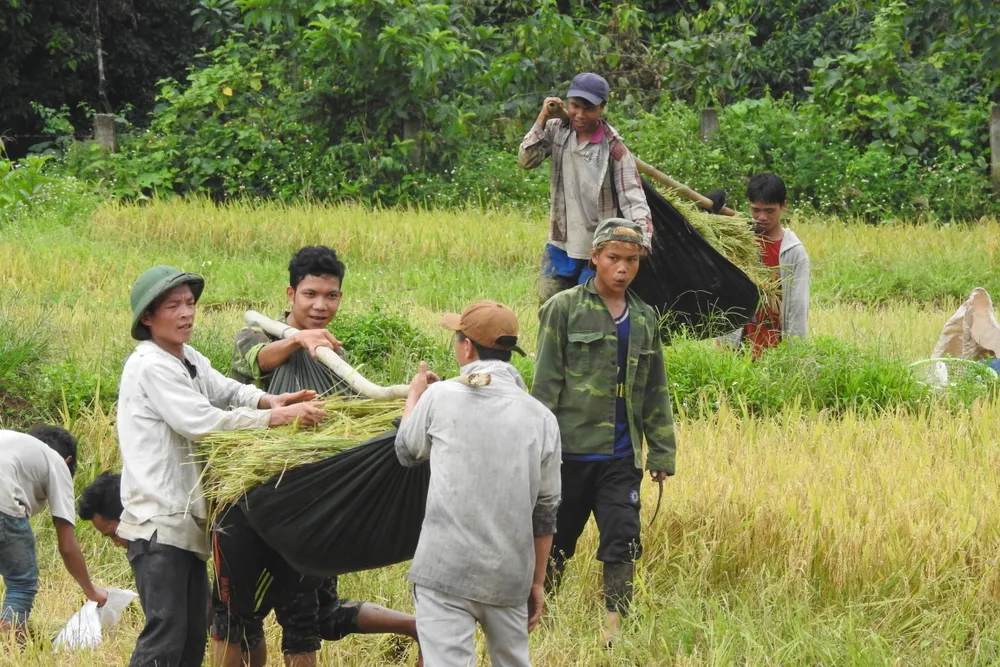 Đồng bào Rục bị lũ vây 8 ngày sau bão ảnh 5