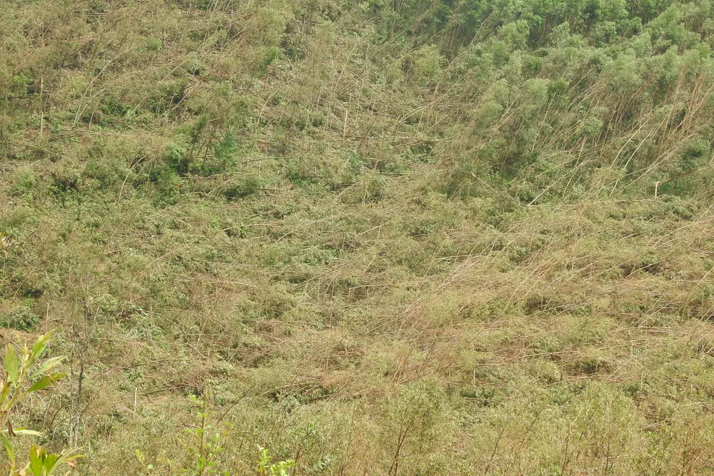 Đồng bào Rục bị lũ vây 8 ngày sau bão ảnh 6