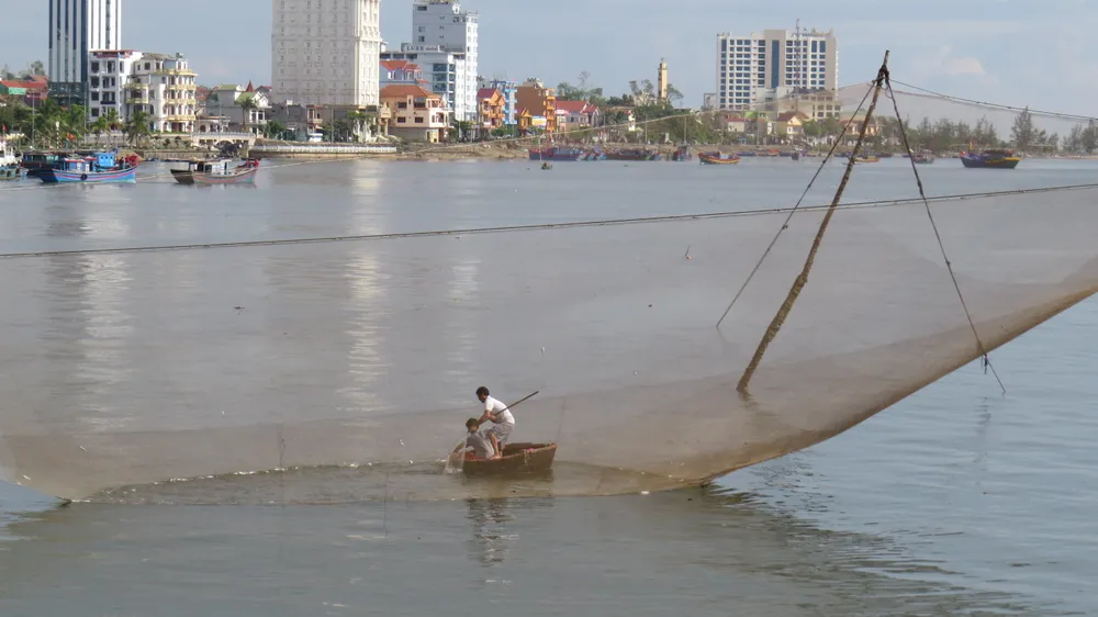 VIDEO: Trúng mẻ cá mòi 5 tạ trên sông Nhật Lệ ảnh 4