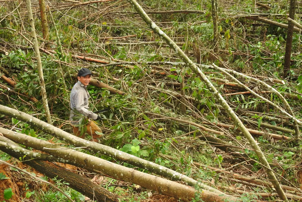 Ngày càng dài ra giấc mơ thoát nghèo ảnh 1
