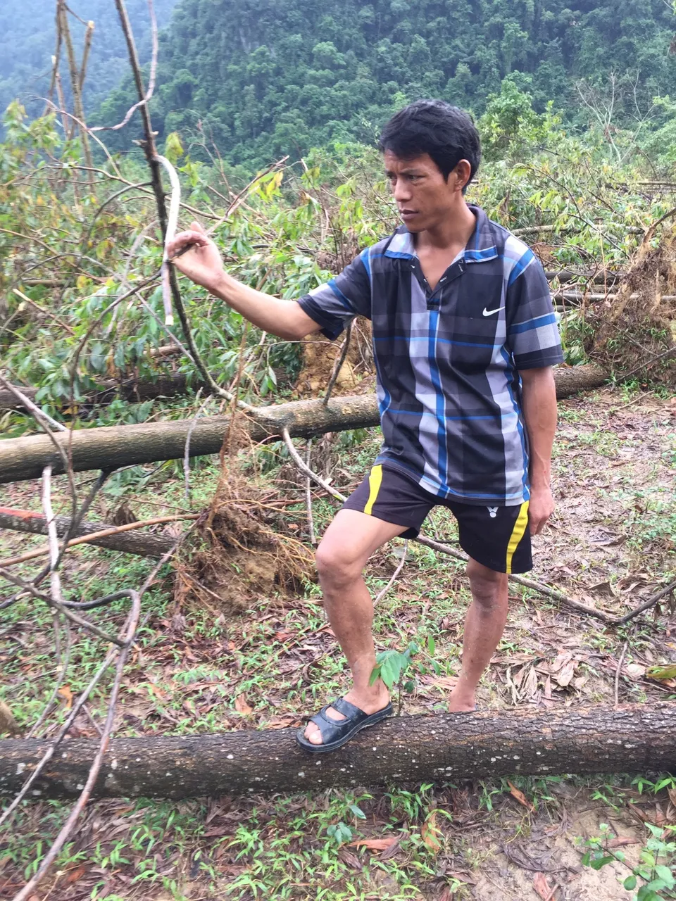 Ngày càng dài ra giấc mơ thoát nghèo ảnh 2