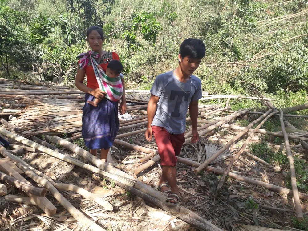 Ngày càng dài ra giấc mơ thoát nghèo ảnh 3