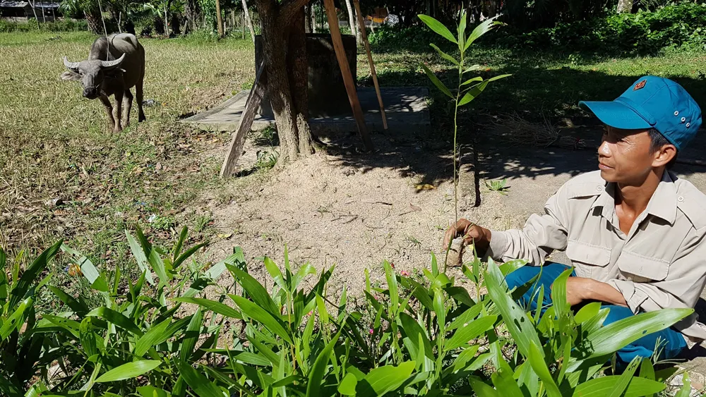 Quảng Bình kỷ luật Chủ tịch huyện có hàng loạt sai phạm ảnh 2