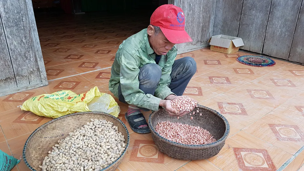 Quảng Bình kỷ luật Chủ tịch huyện có hàng loạt sai phạm ảnh 3