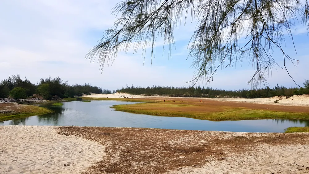 Quảng Trị: Khai thác titan không chịu hoàn thổ ảnh 1