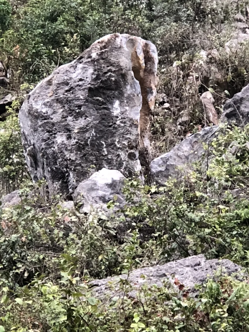 Quảng Bình: Ga Lạc Sơn tê liệt, đường ray hư hỏng vì sạt lở núi đá vôi ảnh 3