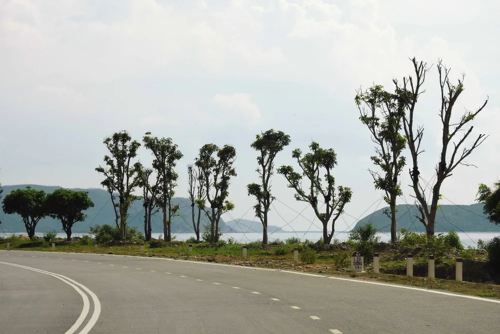 Ngắm cung đường đẹp nhất Vũng Chùa dưới rặng Hoành Sơn ảnh 7