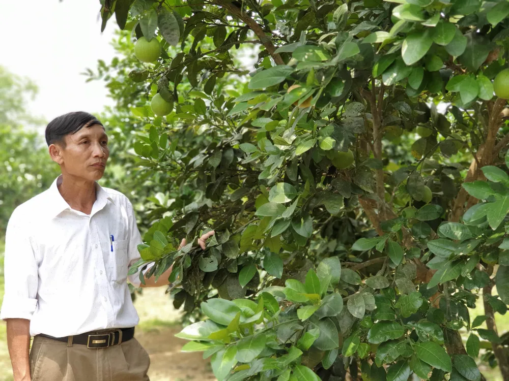 Những chỉ huy sở in đậm dấu ấn Trung tướng Đồng Sỹ Nguyên ảnh 13