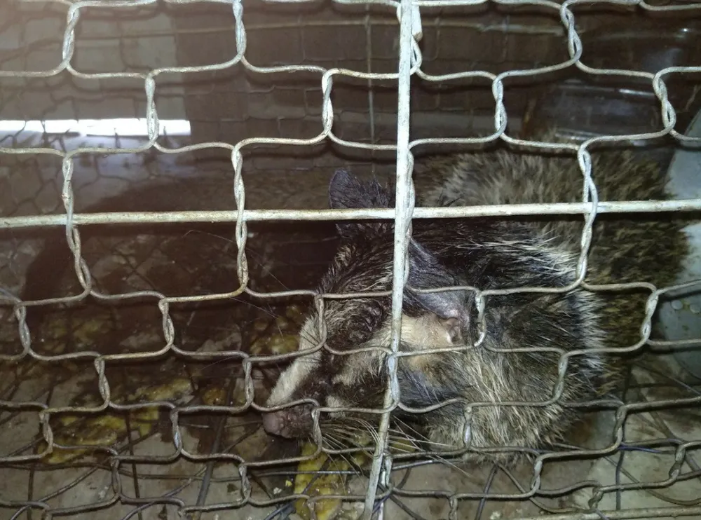 Trại nuôi động vật trái phép trong vùng đệm di sản Phong Nha ảnh 1