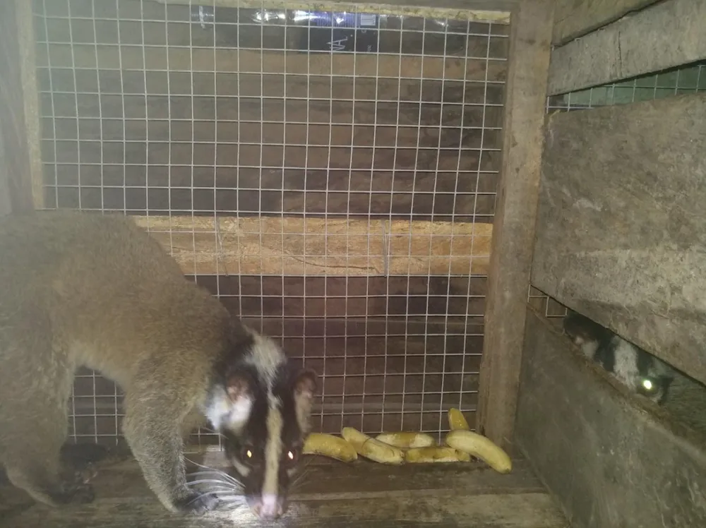 Trại nuôi động vật trái phép trong vùng đệm di sản Phong Nha ảnh 2