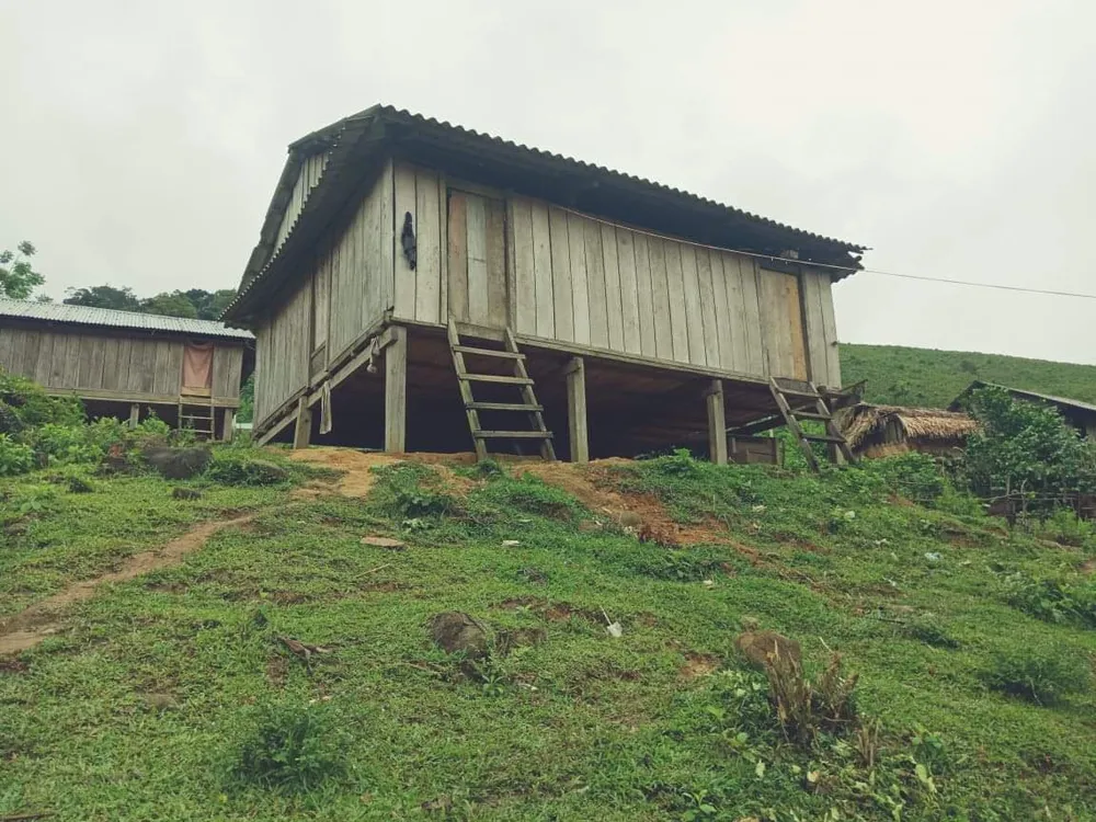 Sau khi xem ti vi, 20 người Mày vào rừng “trốn Covid-19“ ảnh 1