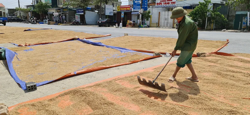 Quảng Bình: Hỗ trợ khẩn cấp 100 tỷ đồng cho hơn 100.000 hộ dân bị lũ lụt hoành hành ảnh 11