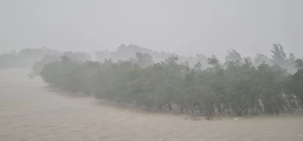 Quảng Bình mưa trắng trời, Huế cây cối ngã đổ ảnh 8