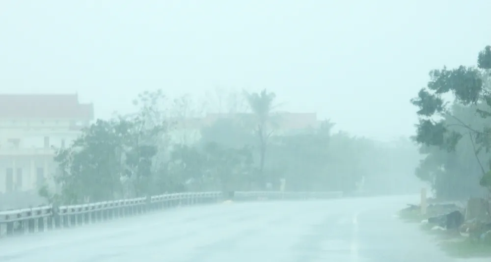 Quảng Bình mưa trắng trời, Huế cây cối ngã đổ ảnh 9