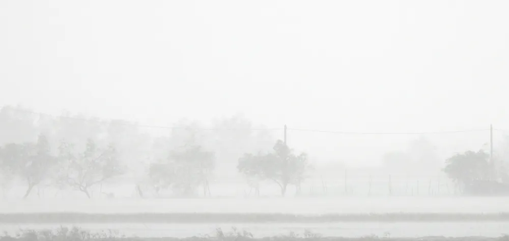 Quảng Bình mưa trắng trời, Huế cây cối ngã đổ ảnh 12