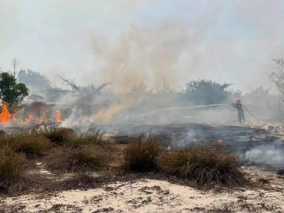 Cháy rừng từ 9g sáng đến 16g chiều tại xã Ngư Thủy Bắc, huyện Lệ Thủy, tỉnh Quảng Bình