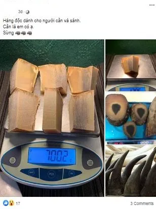 Việt Nam xử lý nghiêm đối với tội phạm buôn bán sừng tê giác ảnh 2