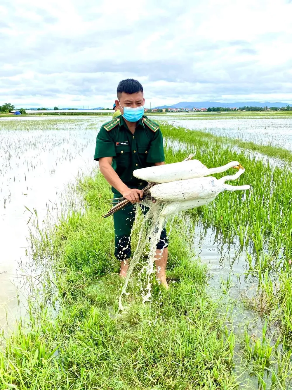 Quảng Bình: Đồng loạt tháo gỡ hàng chục ngàn bẫy chim tự nhiên ảnh 2