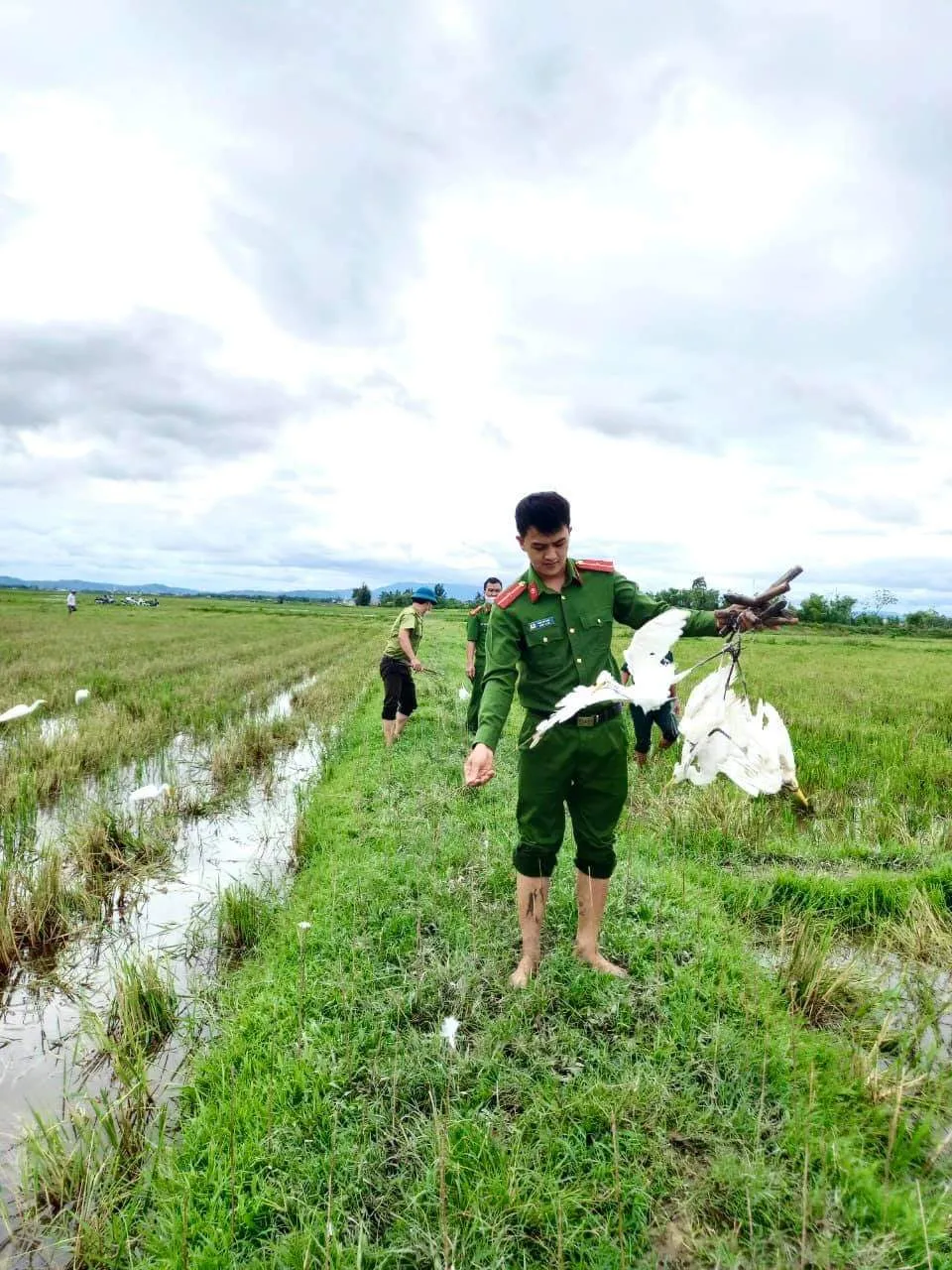 Quảng Bình: Đồng loạt tháo gỡ hàng chục ngàn bẫy chim tự nhiên ảnh 3