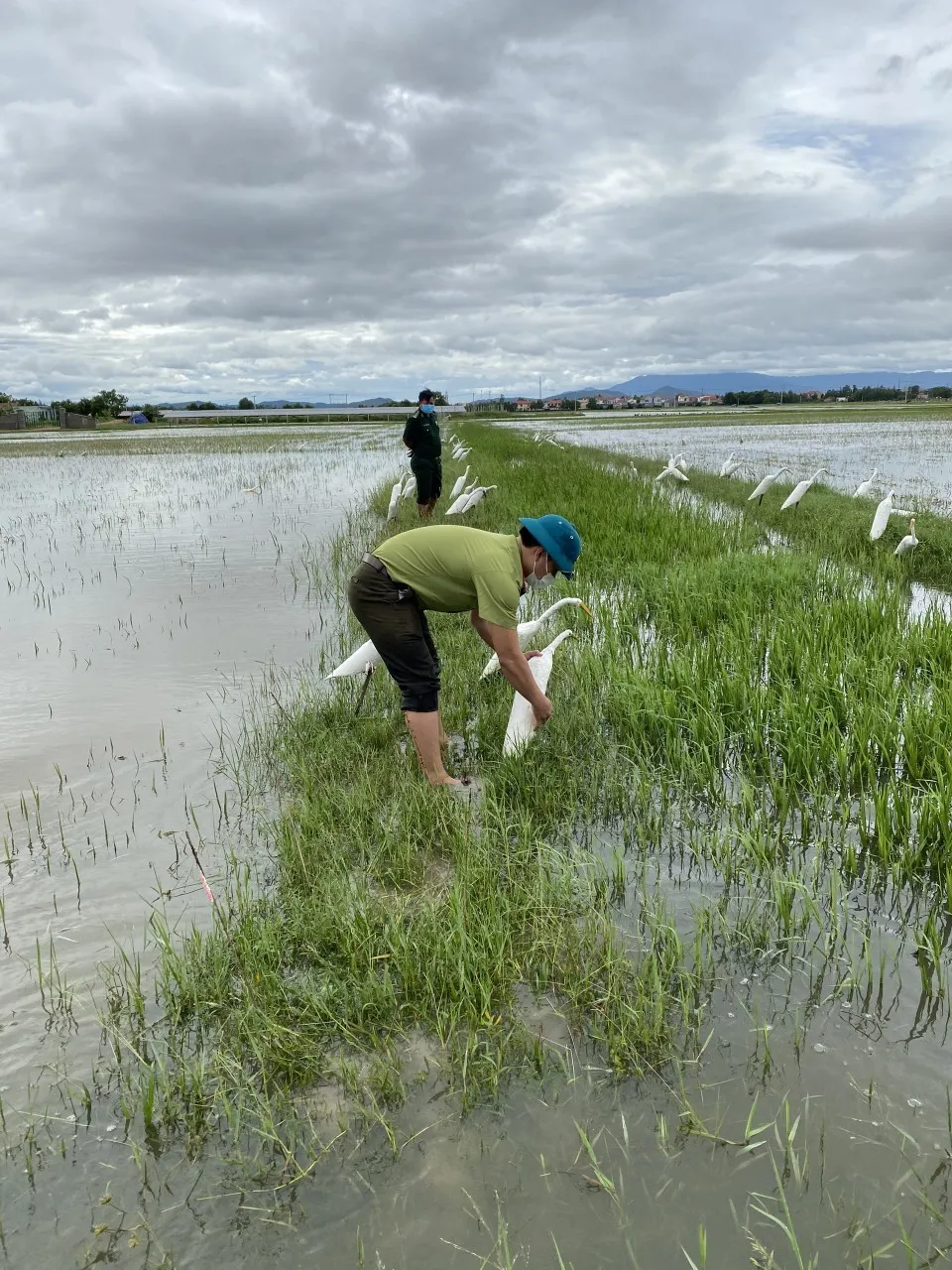 Quảng Bình: Đồng loạt tháo gỡ hàng chục ngàn bẫy chim tự nhiên ảnh 7