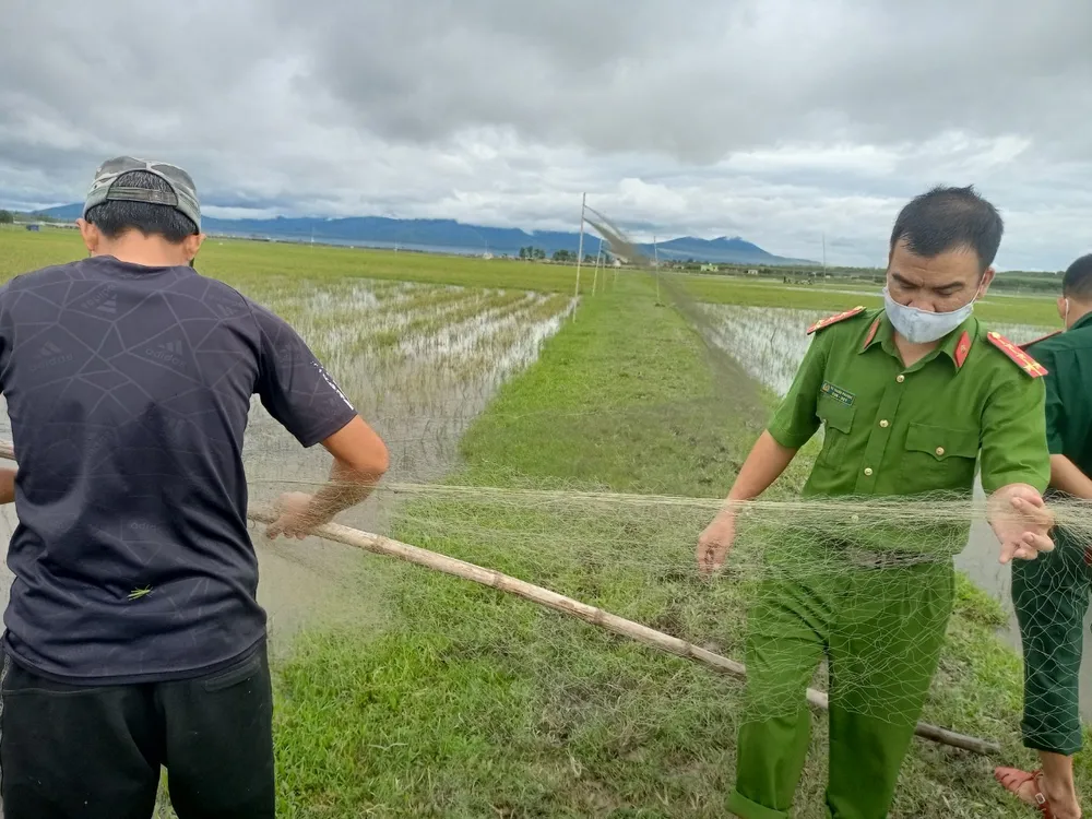 Quảng Bình: Đồng loạt tháo gỡ hàng chục ngàn bẫy chim tự nhiên ảnh 8