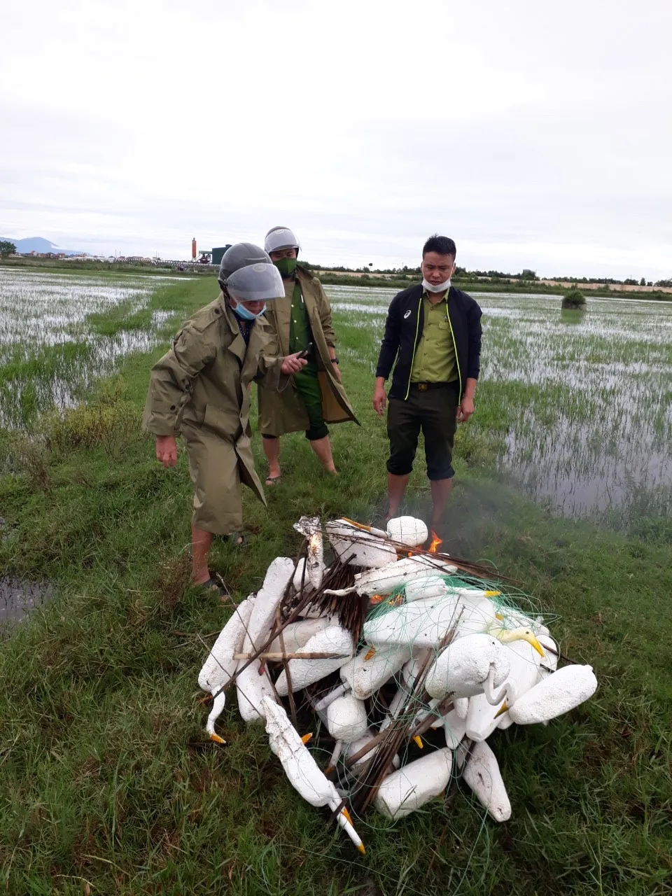 Quảng Bình: Đồng loạt tháo gỡ hàng chục ngàn bẫy chim tự nhiên ảnh 5
