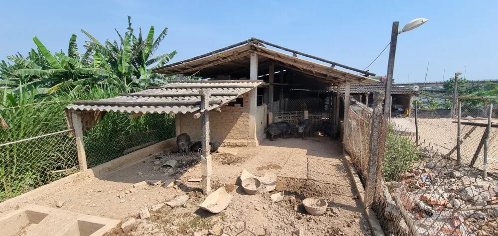 Vụ di tích Lũy Thầy và sông Lũy Thầy bị xâm hại: Các cơ quan chức năng vào cuộc ảnh 6