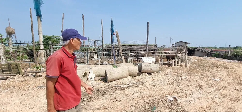 Vụ di tích Lũy Thầy và sông Lũy Thầy bị xâm hại: Các cơ quan chức năng vào cuộc ảnh 7