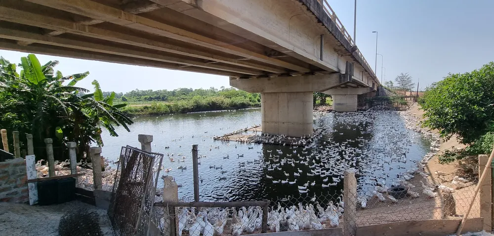 Vụ di tích Lũy Thầy và sông Lũy Thầy bị xâm hại: Các cơ quan chức năng vào cuộc ảnh 5