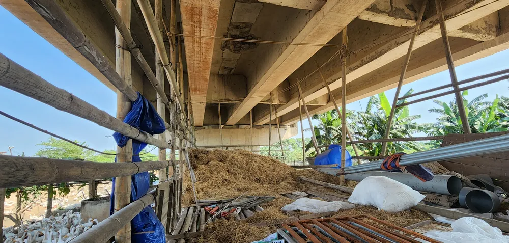 Vụ di tích Lũy Thầy và sông Lũy Thầy bị xâm hại: Các cơ quan chức năng vào cuộc ảnh 3