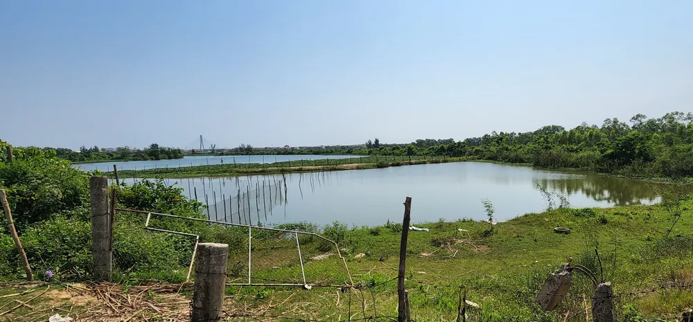 Vụ di tích Lũy Thầy và sông Lũy Thầy bị xâm hại: Các cơ quan chức năng vào cuộc ảnh 2