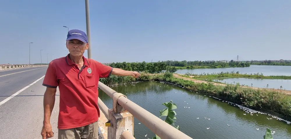 Vụ di tích Lũy Thầy và sông Lũy Thầy bị xâm hại: Các cơ quan chức năng vào cuộc ảnh 1