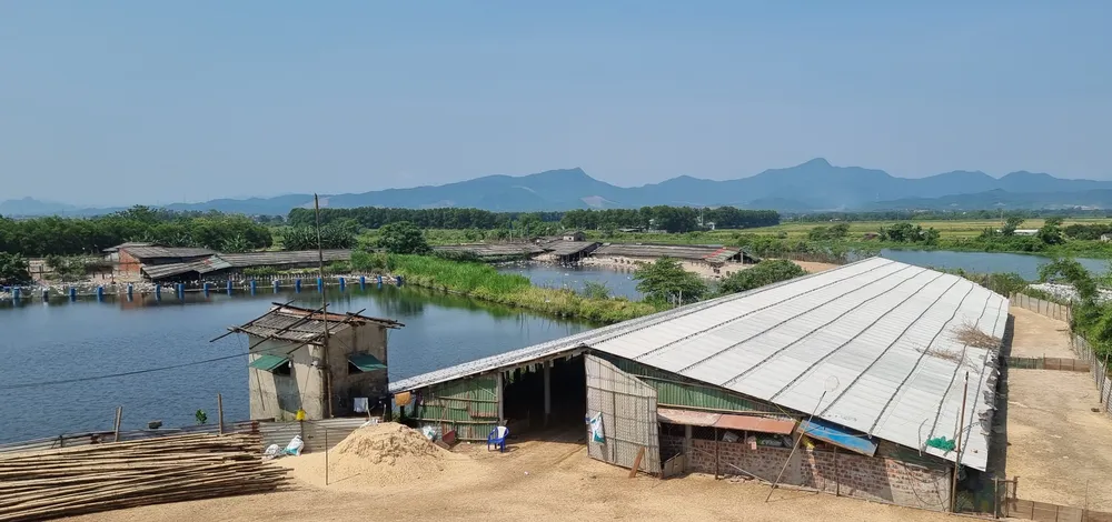 Vụ di tích Lũy Thầy và sông Lũy Thầy bị xâm hại: Các cơ quan chức năng vào cuộc ảnh 10
