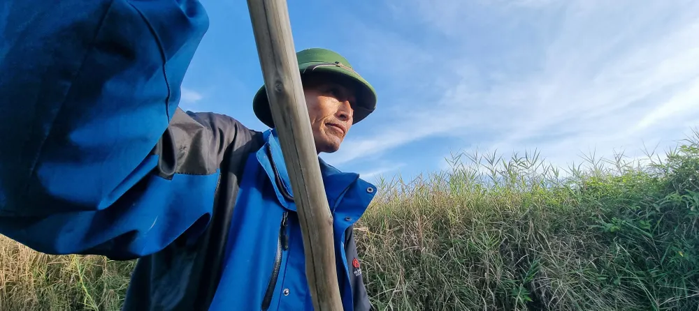 Hai vợ chồng nông dân bảo vệ chim trời ở phá Hạc Hải  ảnh 1