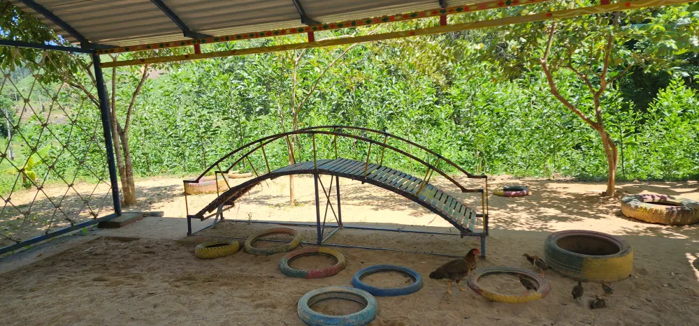 Quảng Bình: Gần 200 học sinh mầm non học phòng dột nát do trường mới bị rút vốn vì chậm tiến độ ảnh 2