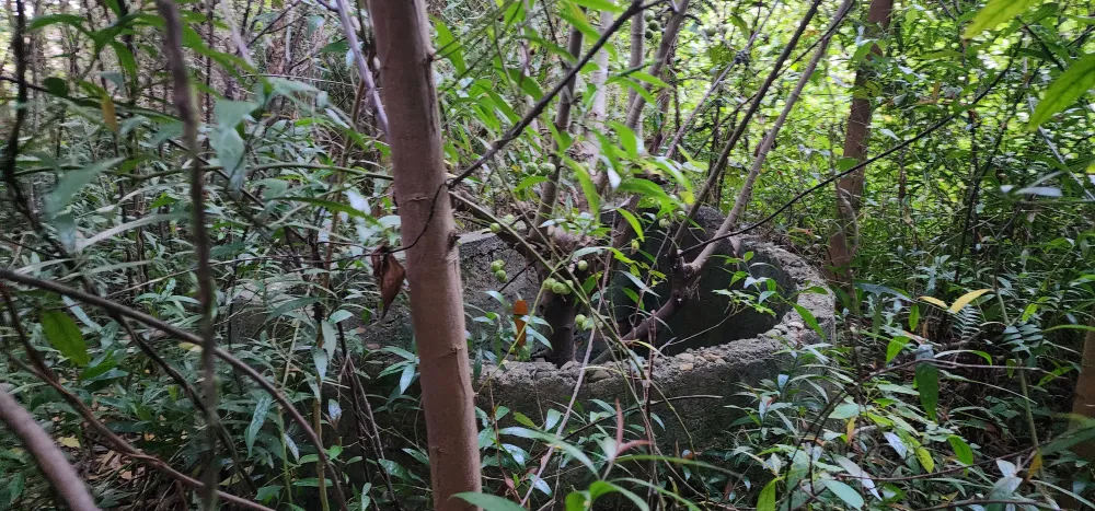 Xúc động người phụ nữ Quảng Bình gặp lại người thân sau 19 năm bị lừa sang Trung Quốc ảnh 8