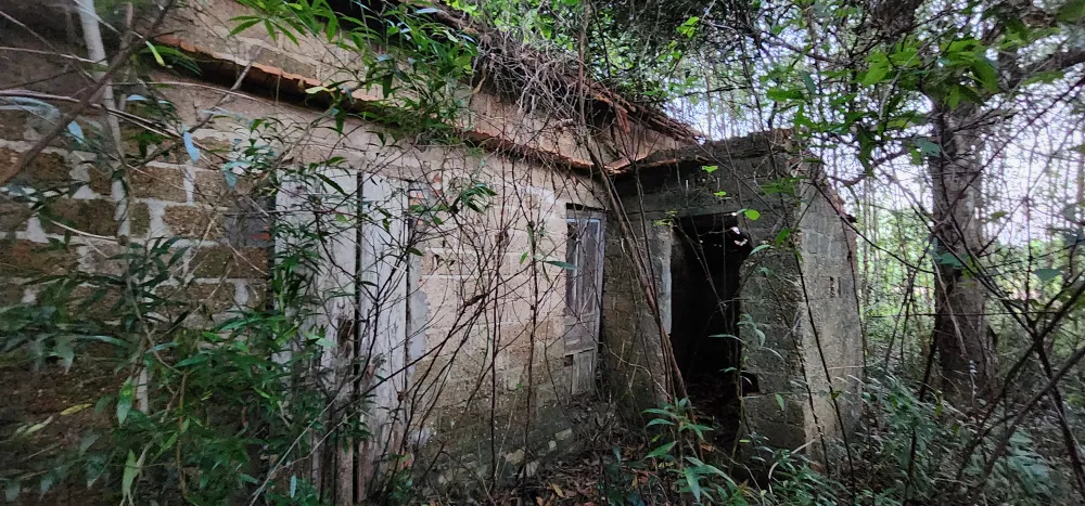 Xúc động người phụ nữ Quảng Bình gặp lại người thân sau 19 năm bị lừa sang Trung Quốc ảnh 6