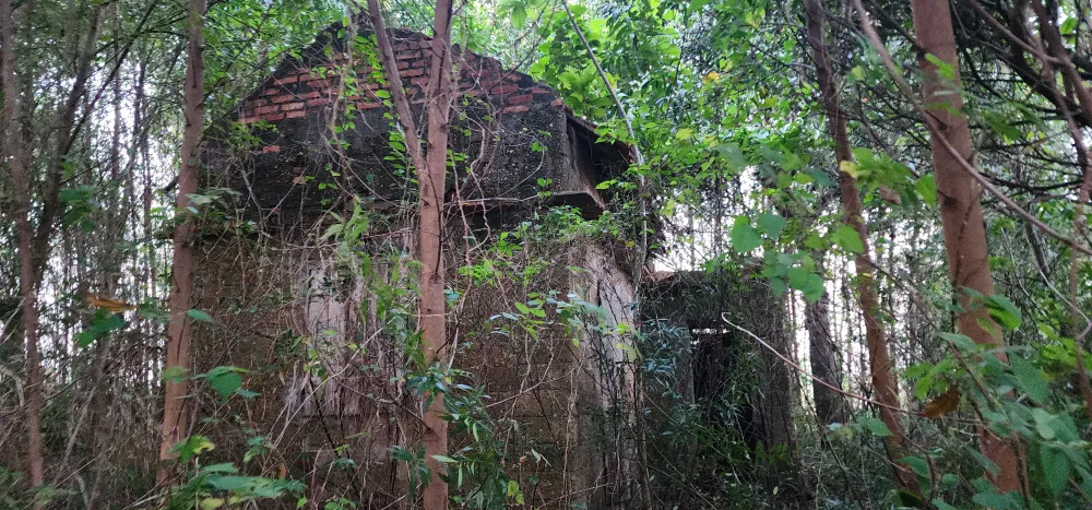 Xúc động người phụ nữ Quảng Bình gặp lại người thân sau 19 năm bị lừa sang Trung Quốc ảnh 7